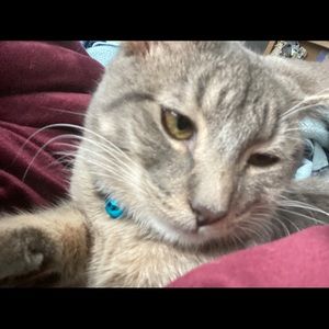 Meet your Posher, Dana